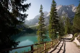 פאזל של naturaleza