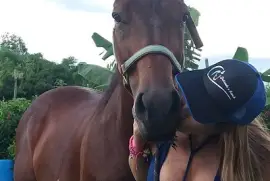 Criticado caballo de coleo jigsaw puzzle