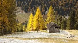 פאזל של naturaleza