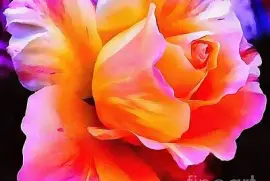 פאזל של So Beautiful