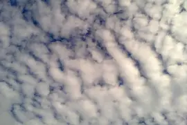 CIELO ABORREGADO jigsaw puzzle