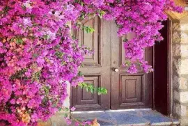 פאזל של imagem