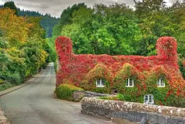 פאזל של naturaleza