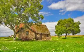 פאזל של naturaleza