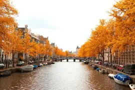 פאזל של naturaleza