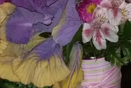 פאזל של beautiful...