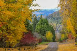 פאזל של naturaleza