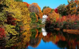 פאזל של naturaleza