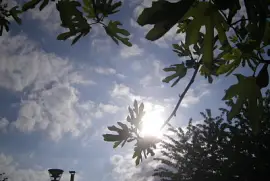 il faisait beau de jour-lÃ , malgrÃ© quelques nuages