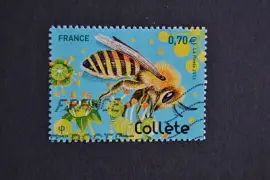 פאזל של timbre