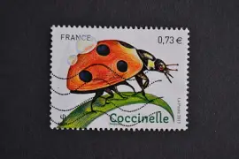 פאזל של timbre