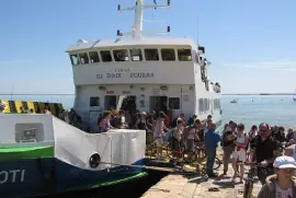 פאזל של fouras