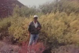 Bug en el Arroyo de El Coloradito