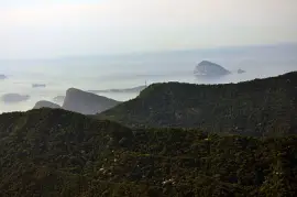 Floresta da Tijuca - Rio de Janeiro