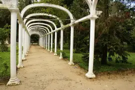 Rio de Janeiro - Brasil