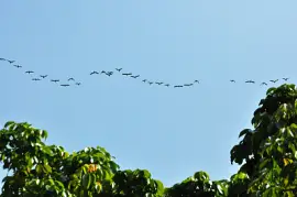 Lagoa - Rio de Janeiro - Brasil