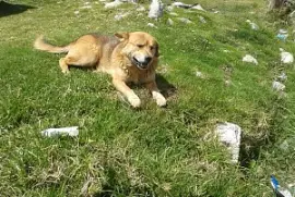 san rafael mucuchies