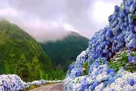 פאזל של hermoso