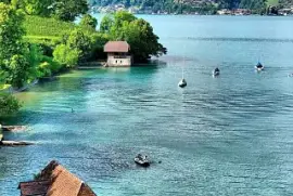 paisaje jigsaw puzzle