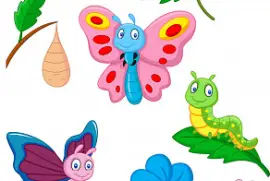 פאזל של MARIPOSA