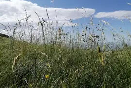 in Liguria jigsaw puzzle