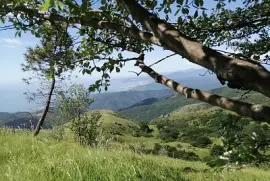 i love Liguria jigsaw puzzle