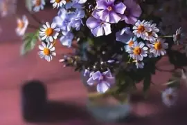 Picture jigsaw puzzle