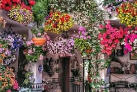 CALLE FLOREADA jigsaw puzzle