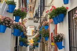 los patios de cordoba jigsaw puzzle