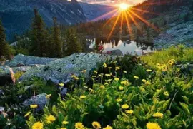 AMANECER jigsaw puzzle