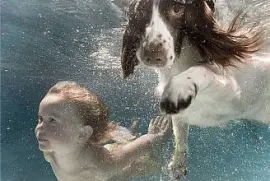 nadando jigsaw puzzle