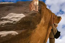 peligro jigsaw puzzle