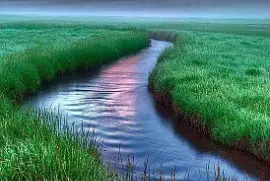 riachuelo jigsaw puzzle