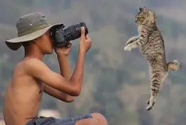 BUENA TOMA jigsaw puzzle