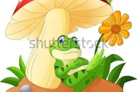 פאזל של HONGOS