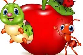 פאזל של MANZANITA