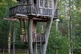 natural jigsaw puzzle