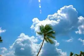 HERMOSO PAISAJE jigsaw puzzle