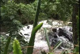 Naturaleza Valle de Bravo