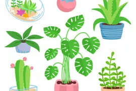 plantas