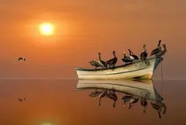 atardecer jigsaw puzzle