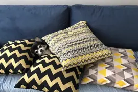 Nick entre almofadas