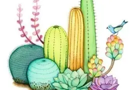 cactus