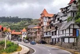 colonia tovar jigsaw puzzle