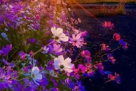 rosas silvestres jigsaw puzzle