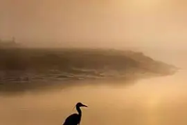 solita jigsaw puzzle