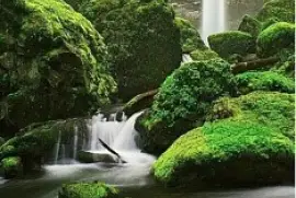 cascadas jigsaw puzzle