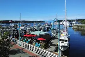 Victory jigsaw puzzle