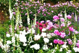 Mottisfons Angleterre