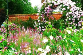 Mottisfons jardin des roses